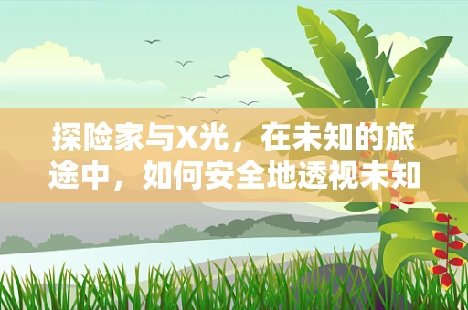 探险家与X光，在未知的旅途中，如何安全地透视未知世界？