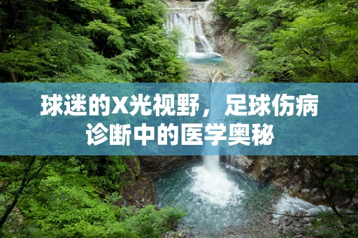 球迷的X光视野，足球伤病诊断中的医学奥秘