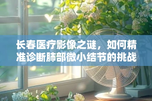 长春医疗影像之谜，如何精准诊断肺部微小结节的挑战