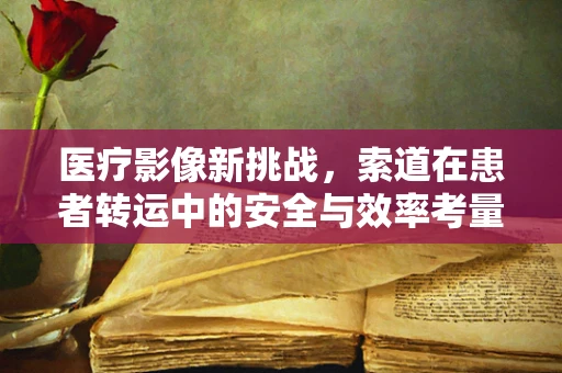 医疗影像新挑战，索道在患者转运中的安全与效率考量