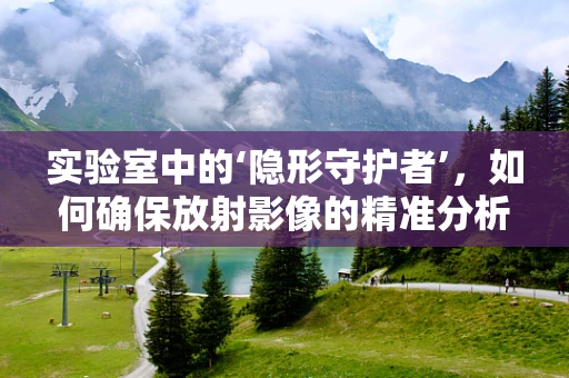 实验室中的‘隐形守护者’，如何确保放射影像的精准分析？