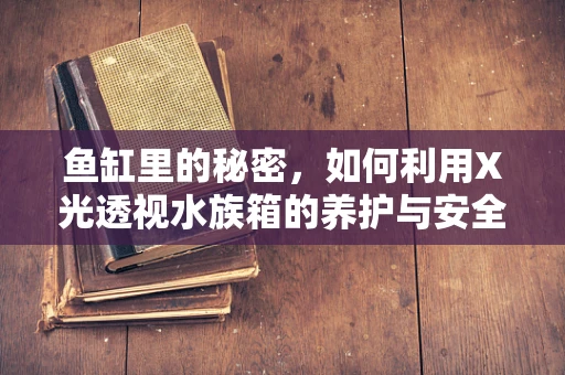 鱼缸里的秘密，如何利用X光透视水族箱的养护与安全？