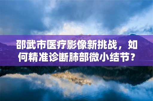 邵武市医疗影像新挑战，如何精准诊断肺部微小结节？