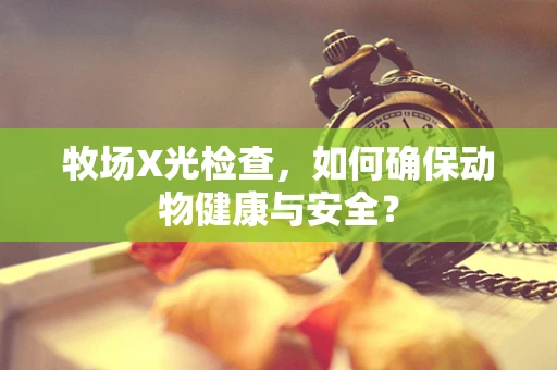 牧场X光检查，如何确保动物健康与安全？