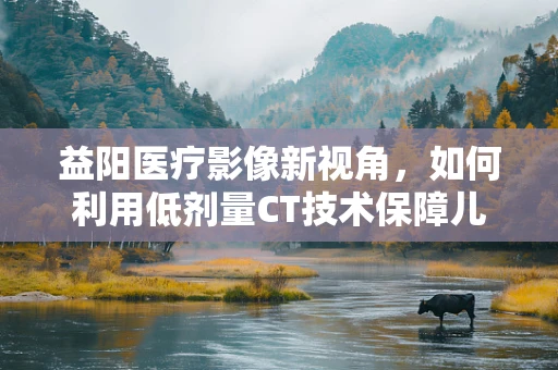 益阳医疗影像新视角，如何利用低剂量CT技术保障儿童肺部健康？