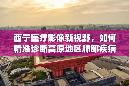 西宁医疗影像新视野，如何精准诊断高原地区肺部疾病的挑战？