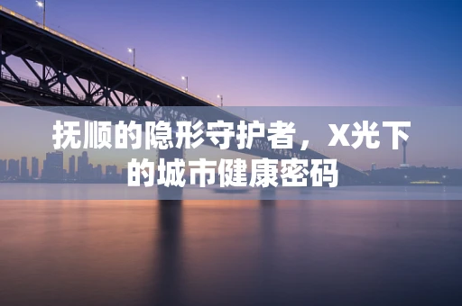 抚顺的隐形守护者，X光下的城市健康密码