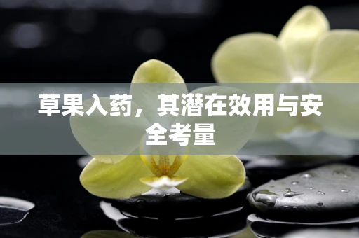 草果入药，其潜在效用与安全考量