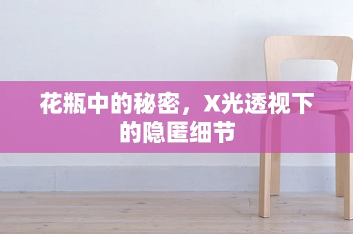 花瓶中的秘密，X光透视下的隐匿细节