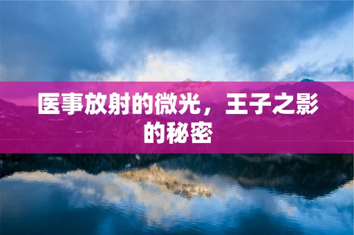 医事放射的微光，王子之影的秘密