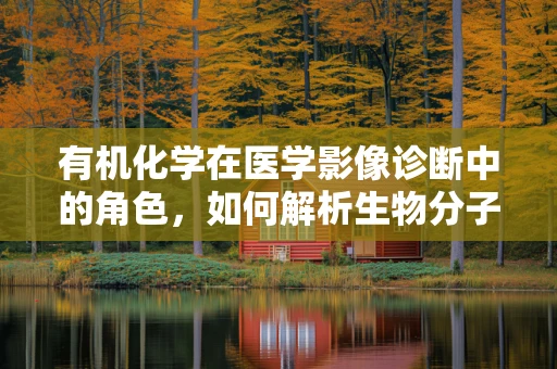 有机化学在医学影像诊断中的角色，如何解析生物分子的‘分子密码’？