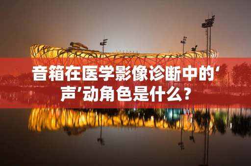 音箱在医学影像诊断中的‘声’动角色是什么？