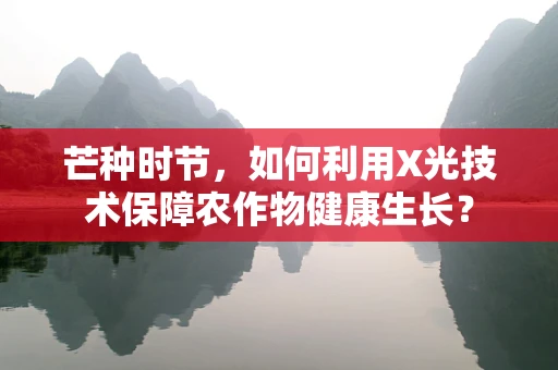 芒种时节，如何利用X光技术保障农作物健康生长？