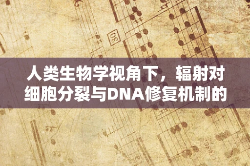 人类生物学视角下，辐射对细胞分裂与DNA修复机制的影响是什么？