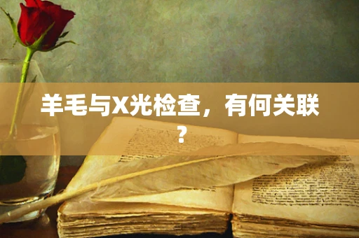 羊毛与X光检查，有何关联？