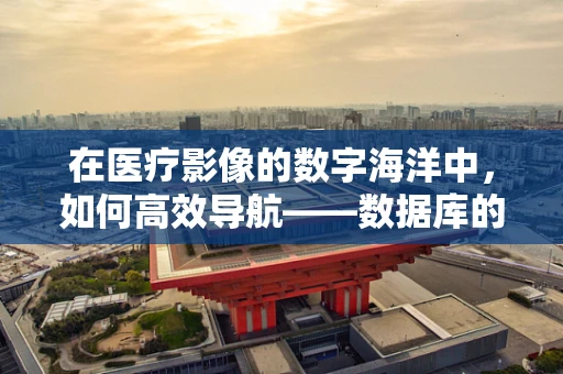 在医疗影像的数字海洋中，如何高效导航——数据库的‘隐形力量’？
