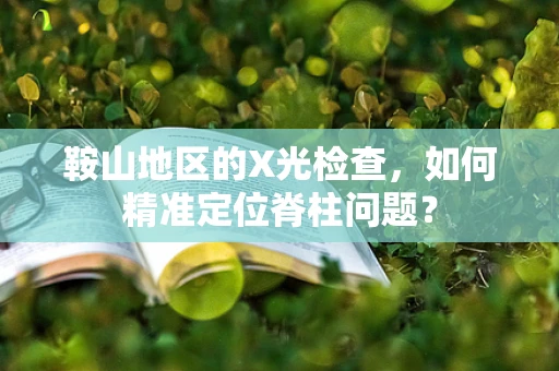 鞍山地区的X光检查，如何精准定位脊柱问题？