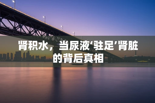 肾积水，当尿液‘驻足’肾脏的背后真相
