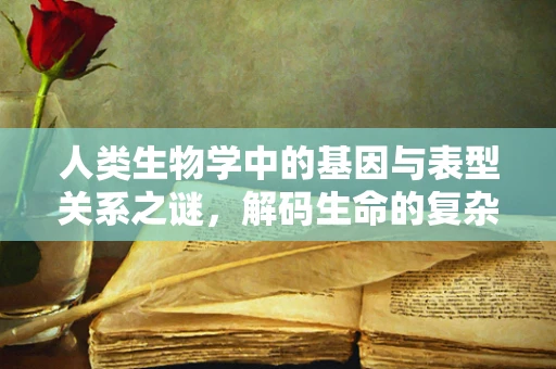 人类生物学中的基因与表型关系之谜，解码生命的复杂密码