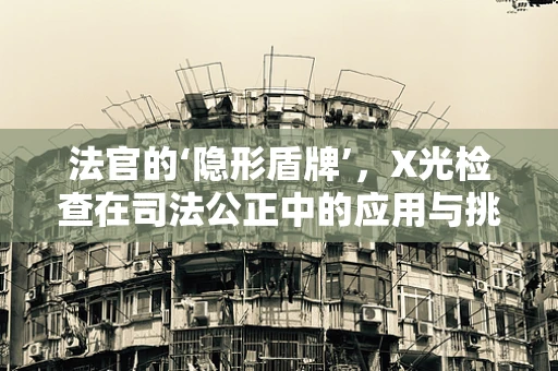 法官的‘隐形盾牌’，X光检查在司法公正中的应用与挑战
