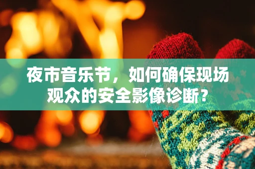 夜市音乐节，如何确保现场观众的安全影像诊断？