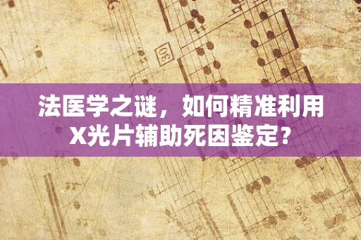 法医学之谜，如何精准利用X光片辅助死因鉴定？