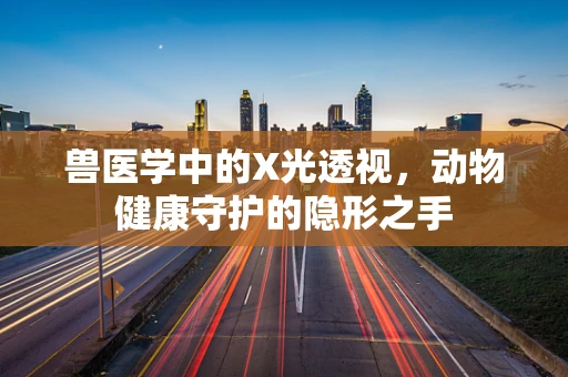 兽医学中的X光透视，动物健康守护的隐形之手