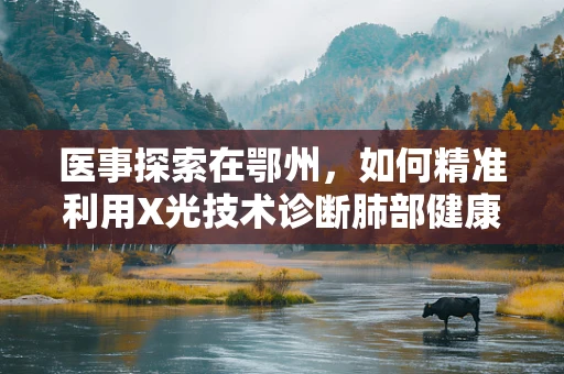 医事探索在鄂州，如何精准利用X光技术诊断肺部健康？
