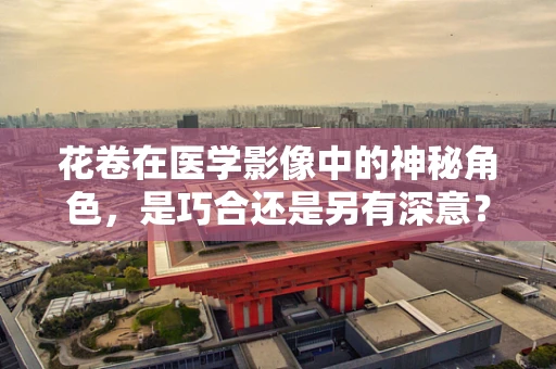 花卷在医学影像中的神秘角色，是巧合还是另有深意？
