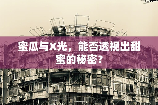 蜜瓜与X光，能否透视出甜蜜的秘密？