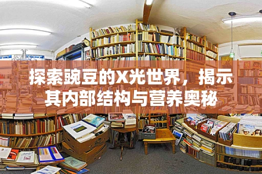探索豌豆的X光世界，揭示其内部结构与营养奥秘