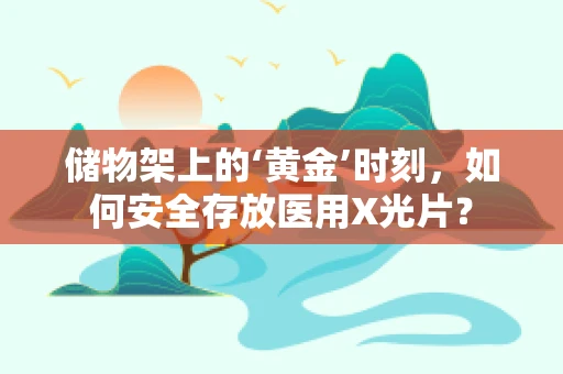 储物架上的‘黄金’时刻，如何安全存放医用X光片？