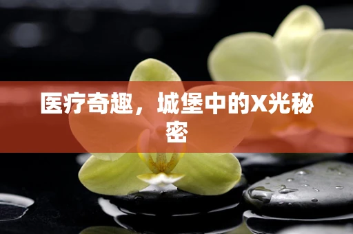 医疗奇趣，城堡中的X光秘密