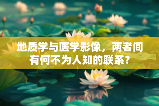 地质学与医学影像，两者间有何不为人知的联系？