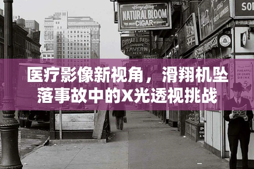 医疗影像新视角，滑翔机坠落事故中的X光透视挑战