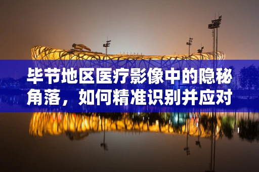 毕节地区医疗影像中的隐秘角落，如何精准识别并应对肺部疾病的挑战？