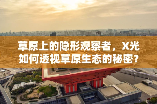 草原上的隐形观察者，X光如何透视草原生态的秘密？