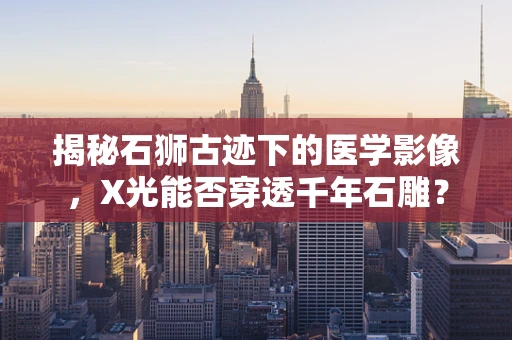揭秘石狮古迹下的医学影像，X光能否穿透千年石雕？