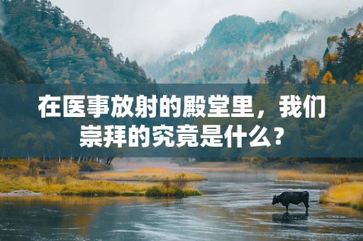 在医事放射的殿堂里，我们崇拜的究竟是什么？