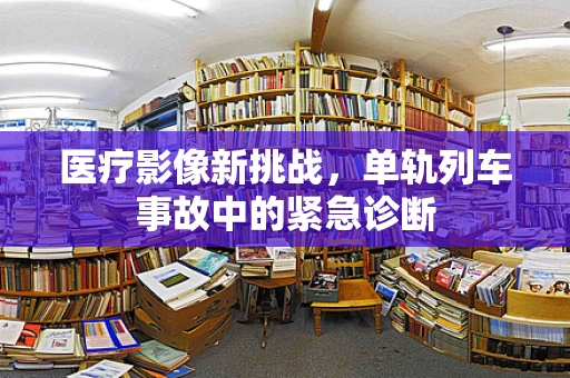 医疗影像新挑战，单轨列车事故中的紧急诊断