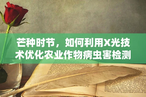 芒种时节，如何利用X光技术优化农业作物病虫害检测？