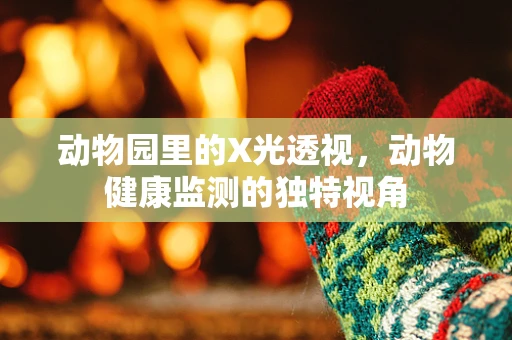 动物园里的X光透视，动物健康监测的独特视角