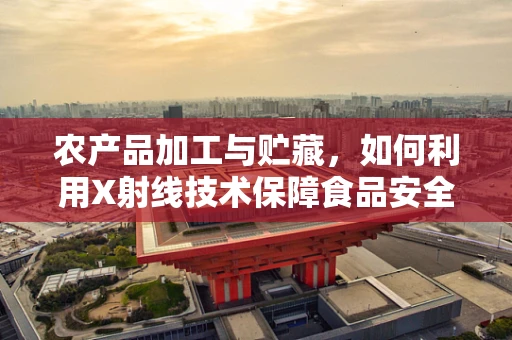 农产品加工与贮藏，如何利用X射线技术保障食品安全？