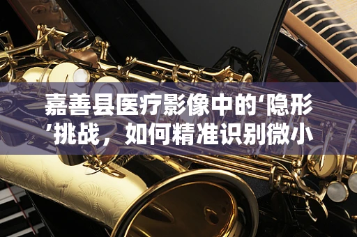 嘉善县医疗影像中的‘隐形’挑战，如何精准识别微小病灶？