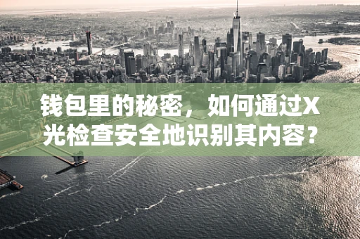 钱包里的秘密，如何通过X光检查安全地识别其内容？