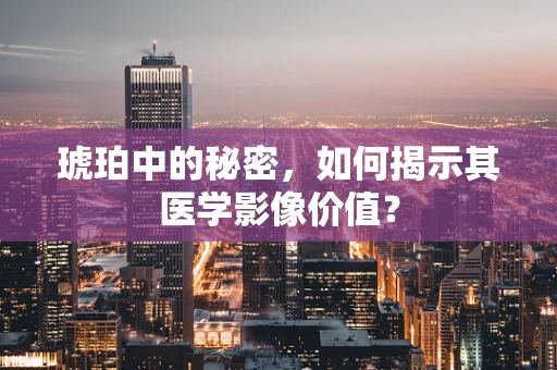 琥珀中的秘密，如何揭示其医学影像价值？