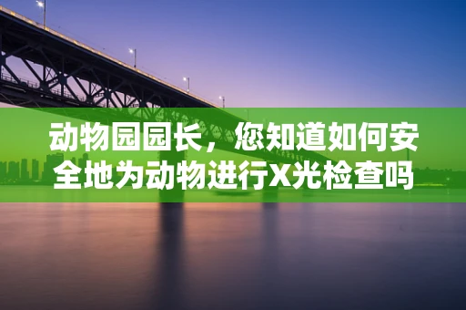 动物园园长，您知道如何安全地为动物进行X光检查吗？
