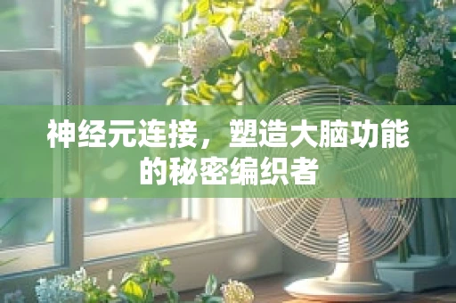 神经元连接，塑造大脑功能的秘密编织者