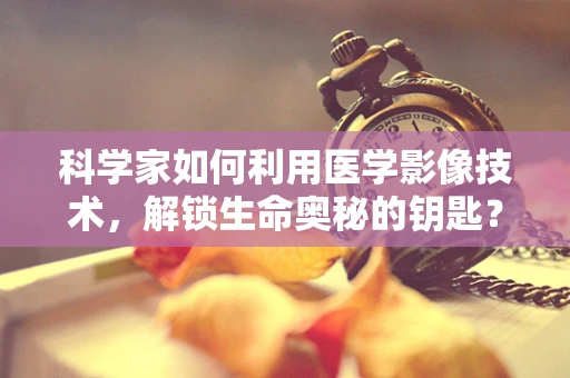 科学家如何利用医学影像技术，解锁生命奥秘的钥匙？