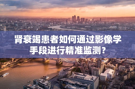 肾衰竭患者如何通过影像学手段进行精准监测？